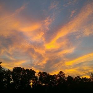 Meet your Posher, Ellen